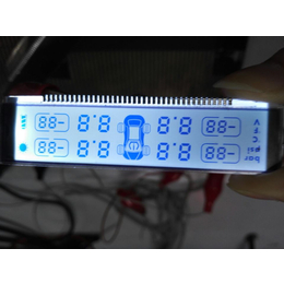 胎压81942FSTN全透正显