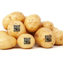 农产品汉信码喷码机 标签追溯防伪喷码 标识信息喷码