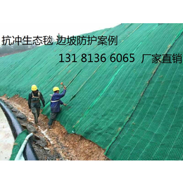 青海果洛生态毯  环保草毯 *冲生物毯边坡绿化*