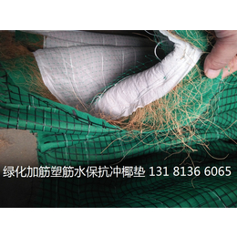 玉树椰丝环保草毯 生态毯 *冲生物毯边坡绿化*图片