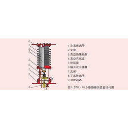 ZW7-40.5 2500真空断路器