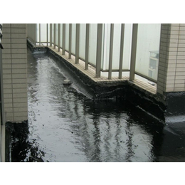 蜘蛛人防水(图),屋顶防水补漏,汉南防水