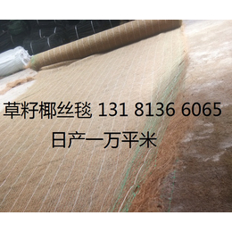 厂家**冲生态毯 边坡绿化椰丝毯 环保草毯 植物纤维毯