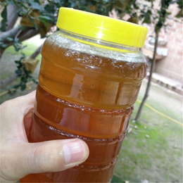 贵州蜂盛(图),遵义蜂蜜批发价格,蜂蜜