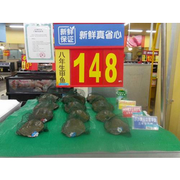 贵州中华鳖|【华乙甲鱼】|云南养殖中华鳖批发市场