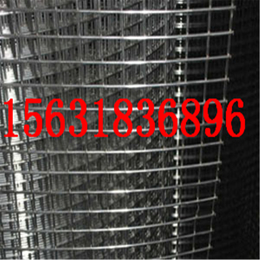 钢丝网镀锌 热浸塑钢管价格