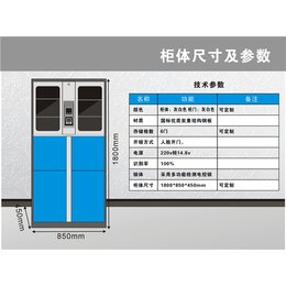 寄存柜自助,湖南寄存柜,强固(查看)