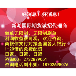 新湖国际外盘招商代理加盟机构营业部
