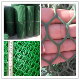 贵州3毫米塑料养蜂网价格+广州塑料包装网价格