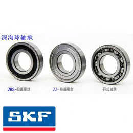 SKF轴承6011-2Z|SKF轴承|SKF天津代理商