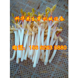 鹰潭芽苗菜机|多功能豆苗机|多功能豆苗机械