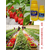使用草莓有机肥的作用、浙江有机肥、拜农生物科技(在线咨询)缩略图1