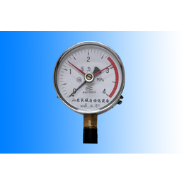 隔膜压力表、长城仪表厂家*(在线咨询)、福建压力表