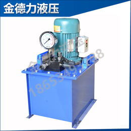 金德力(图)、进口液压电动泵、液压电动泵