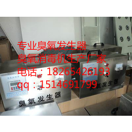 桂林臭氧发生器生产厂家桂林臭氧消毒机价格