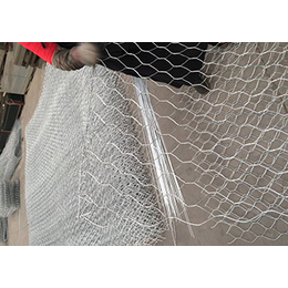 矽胶包塑石笼网型号_七台河矽胶包塑石笼网_安平威友丝网