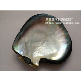 连平县贝壳、佳禾贝壳表面(在线咨询)、贝壳
