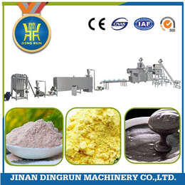 鼎润机械DSE营养米粉生产设备