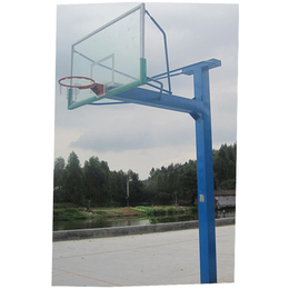儿童篮球架|银芝体育|镇江篮球架