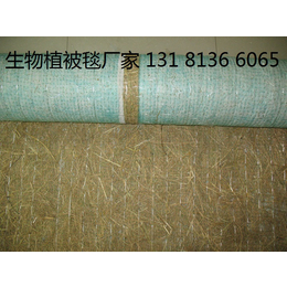 稻草植生毯 植物纤维毯护坡 北京植被毯 生态毯 环保草毯厂家
