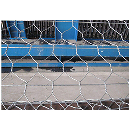 安平威友石笼网厂家(图)|镀锌石笼网安装办法|抚州镀锌石笼网