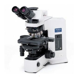 日本OLYMPUS奥林巴斯显微镜BX53 进口