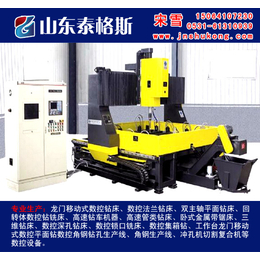 小型数控钻床_抚州数控钻床_山东泰格斯(查看)