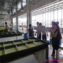 泉州新型腐竹机生产线 财顺顺厂家*腐竹设备