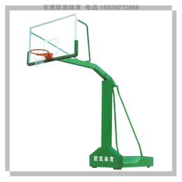 篮球架 *|欧凯体育(在线咨询)|万江篮球架