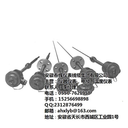 安徽春辉集团(图)_春辉热电偶_热电偶