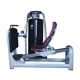 奥信德AXD-651健身房商用太空系列坐式蹬腿训练器