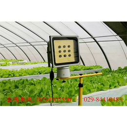led植物补光灯有用吗、诺达科技(在线咨询)、广州植物补光灯