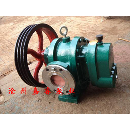 沧州嘉睿特价供应LCX10-0.6系列罗茨泵 高粘度罗茨泵