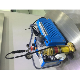 宝华JUNIORII理想型空气充气泵系列