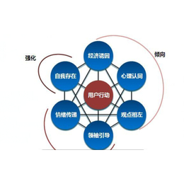 企业网站建设|通州网站建设|南通智讯网络科技缩略图