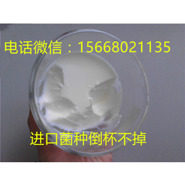 铭泰生物酸奶发酵剂的优势