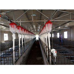 牧鑫养殖设备(图)|猪舍料线自动喂料|猪舍料线
