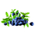 加州蓝莓浓缩果汁招商+加仑蓝莓浓缩果汁采购+蓝莓浓缩果汁趋势缩略图3