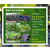 新乡葡萄苗、大山生态园三年葡萄树批发价格(在线咨询)、葡萄苗缩略图1