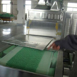 微波电池材料烘干机 广州福滔微波干燥设备