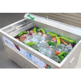 衢州蔬菜清洗机|豪霸洗涤(图)|蔬菜清洗机品牌