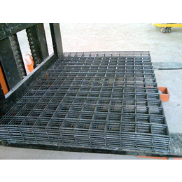 安平腾乾(图)|养殖电焊网厂家|养殖电焊网