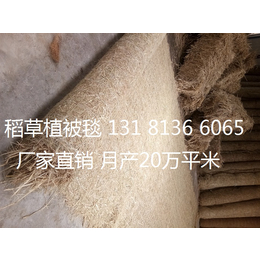 植物纤维毯工程案例 生态毯 环保草毯 稻草植被毯 椰丝毯厂