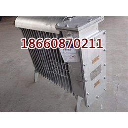 矿用RB2000-127电热取暖器型号参数