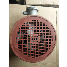 BG160 BG180变频电机用冷却变频风机永动厂家*