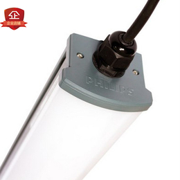 飞利浦LED三防灯具WT066C 1.2米0.6米惠州总经销