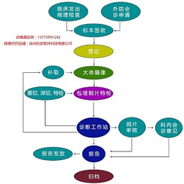 巨渺病理信息管理系统 病理科工作站 液基 皮肤信息系统 