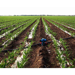 安庆灌溉设备|园林灌溉设备|安徽安维(****商家)