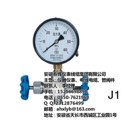 隔膜压力表生产厂家,安徽春辉集团,四川隔膜压力表