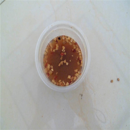 亳州红枣颗粒|超晨生物科技厂家*|*红枣颗粒